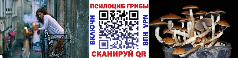 omg зеркало  Кондрово  Псилоцибиновые грибы ЛСД 