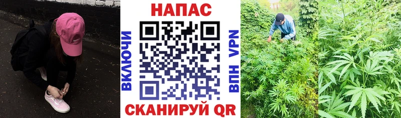mega как войти  Кондрово  Бошки марихуана LSD WEED  даркнет сайт 